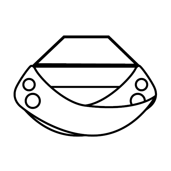 5 modelli